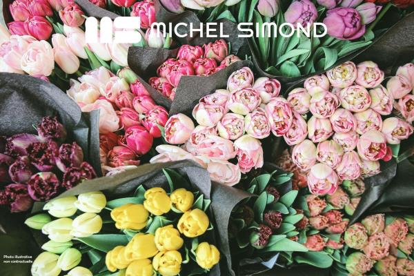 Photo 5 du bien