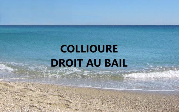 Photo 1 du bien