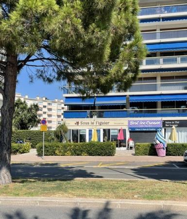Photo 3 du bien